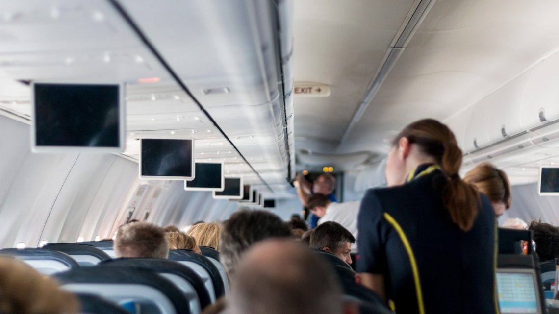 Come diventare assistente di volo: prerequisiti, compiti, percorso formativo. Quanto guadagna un assitente di volo?